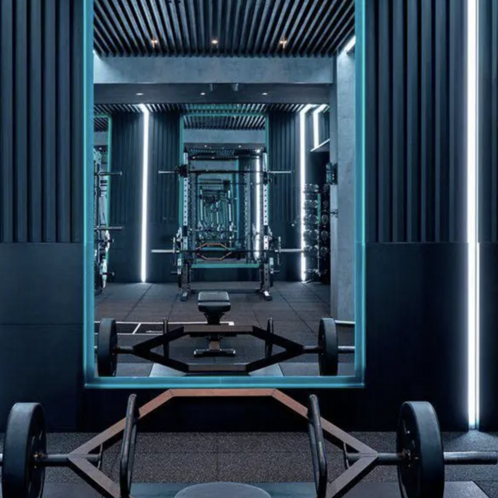 P-FIT 2.0 (Planet Fitness)