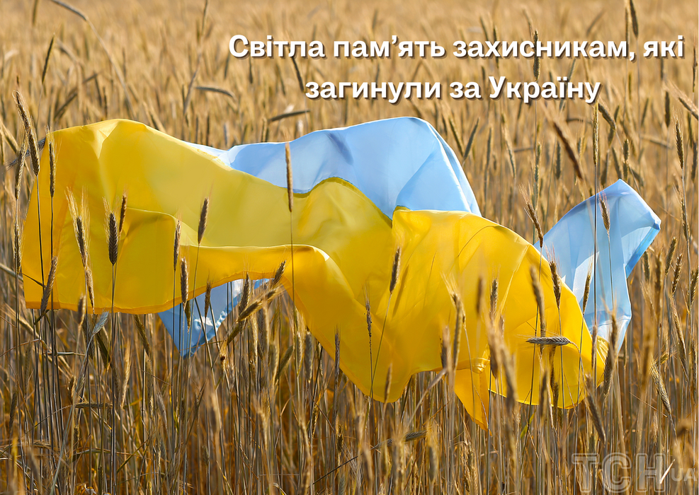 Пропозиція Надання щорічної матеріальної грошової допомоги членам сімей загиблих (померлих), безвісти зниклих за особливих обставин Захисників і Захисниць України до Дня пам'яті захисників України, які загинули в боротьбі за незалежність, суверенітет і територіальну цілісність України