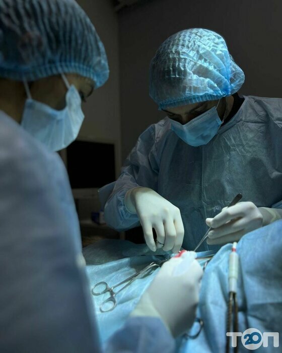 Пропозиція Вакцинація